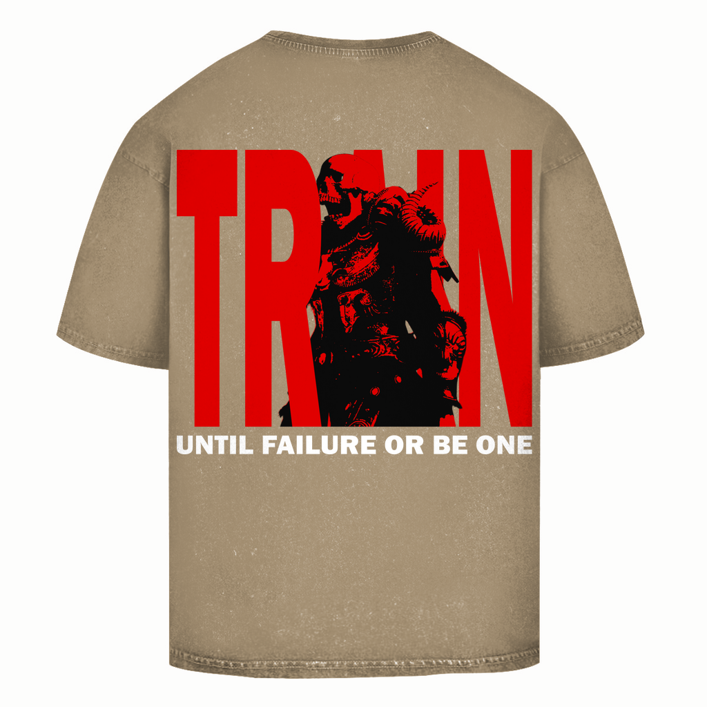 Oversize Washed T-Shirt Train Until Failure or be one