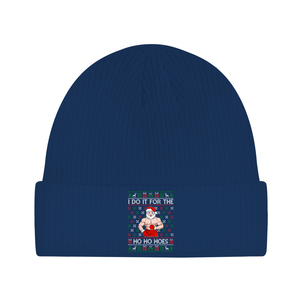 Beanie Do it for the Ho Ho Hoes